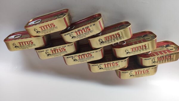 Titus Sardine 10 Cans - Image 2