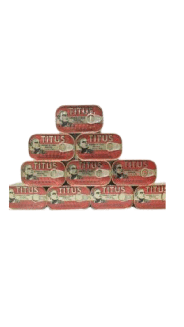 Titus Sardine in Vegetable Oil 10 Cans