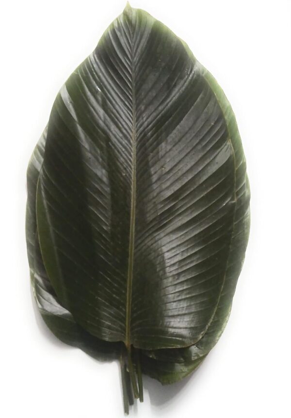Frozen Moin-Moin Leaves Mixed Sizes 15 Pieces